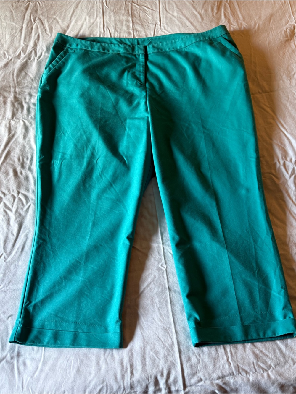 Lane Bryant Teal Cropped Pants Size 26